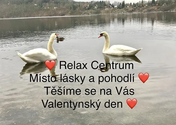 Dum A Dum Zivohost