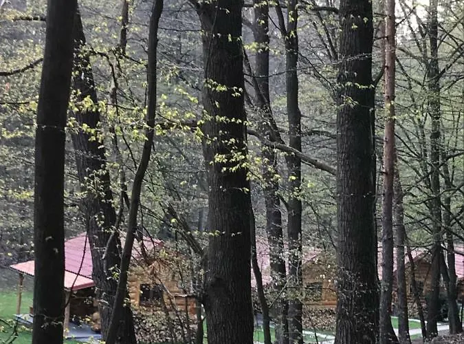 Resort Dum A Dum Zivohost